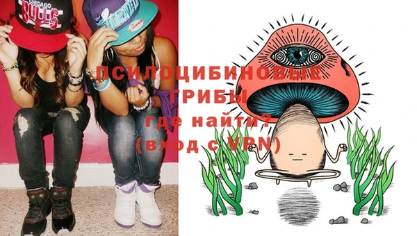 ГАЛЛЮЦИНОГЕННЫЕ ГРИБЫ Белоозёрский