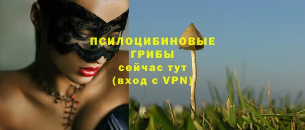 каннабис Белокуриха