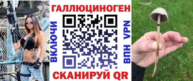 это Telegram цена наркотик Топки Псилоцибиновые грибы GOLDEN TEACHER